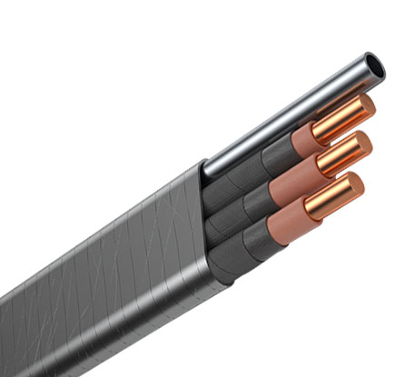 Caid&eacute;al Intumtha Leictreach Esp C&aacute;bla